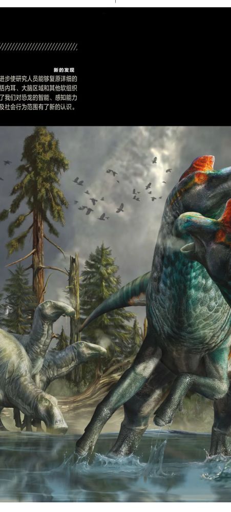 英国自然历史博物馆|恐龙根本不是你想的那样