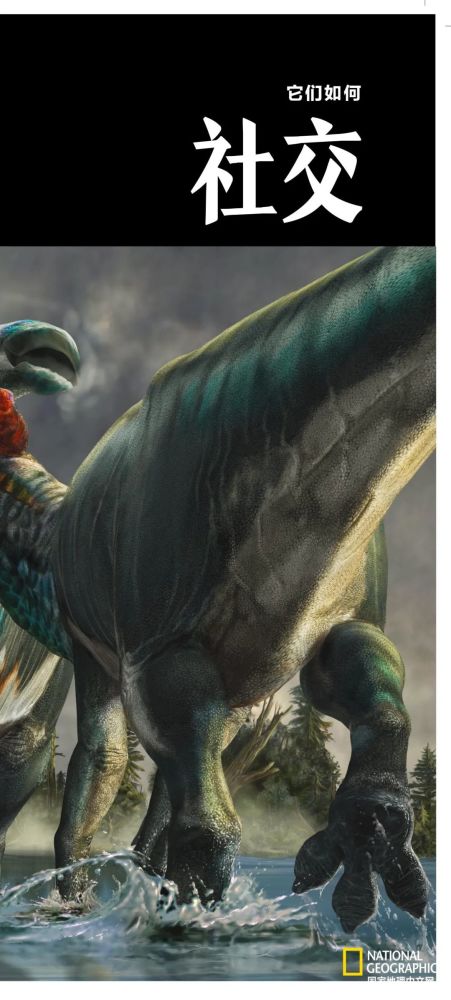 英国自然历史博物馆|恐龙根本不是你想的那样