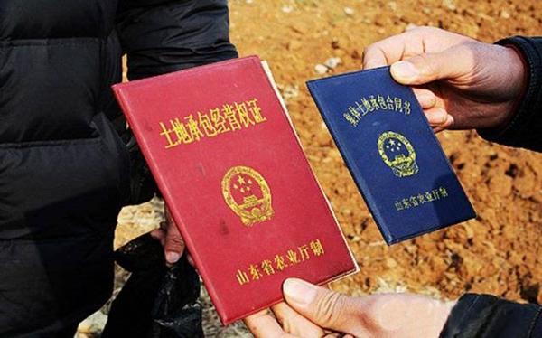 城镇户籍人口_重磅!汕尾全面放开城镇户口迁移政策