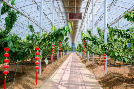 目前已经形成北京,上海双总部,青岛和宿迁为产业示范基地的整体布局