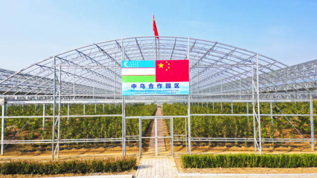7亿元打造万亩樱桃基地,让更多人吃上更好吃的樱桃!