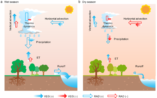 增加量大于降水增加,这主要源于植被生理响应所引起的蒸散发降低(图 2