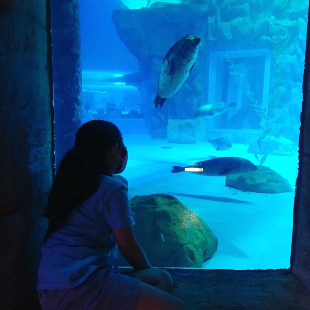 郭羡妮|46岁冻龄港姐郭羡妮带女儿畅游乐园 珍惜与女儿相处的时光