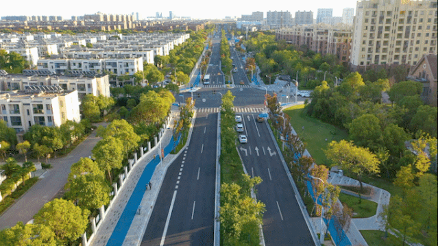 塘下公路|东海大道|临港新片区|临港新片区管委会