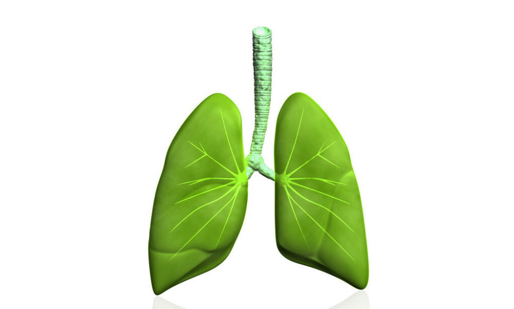 口罩|吃什么都净化不了肺，除了戒烟，戴口罩，运动是最好办法
