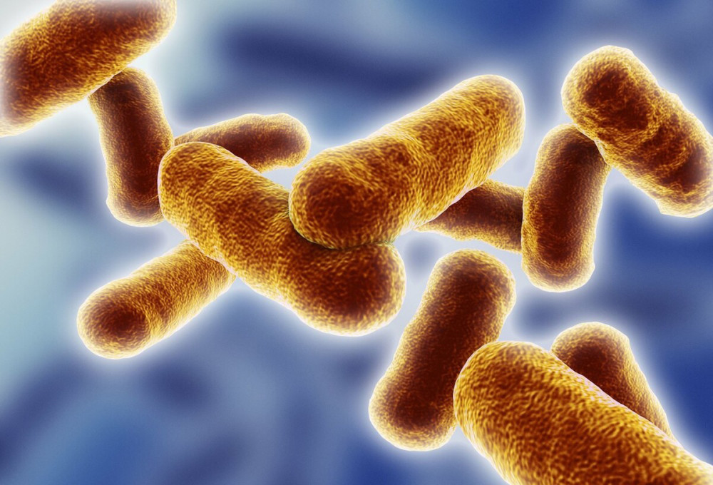 口罩|吃什么都净化不了肺，除了戒烟，戴口罩，运动是最好办法