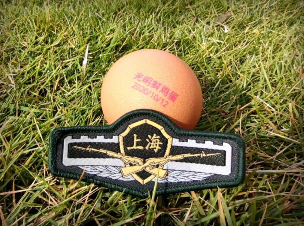 低头看胸前印有"上海"两字的武警胸标,抬头仰望在黑夜里微微发光的岗