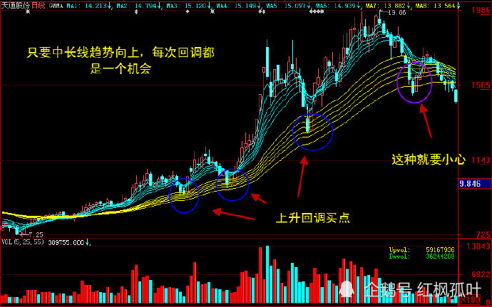 顾比均线的使用方法