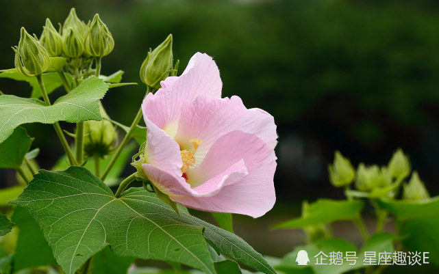 10月22日 26日星座运势 巨蟹学会忍耐 天蝎提高警惕 双鱼目标明确 星座运势 双鱼座 巨蟹座 天蝎座