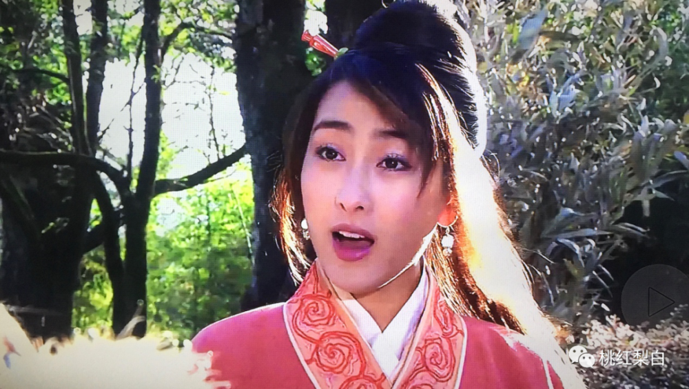 即使在2006年演了张纪中拍的金庸名作《碧血剑》,却只能给黄圣依