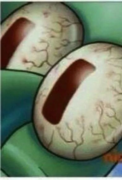 蟹老板|海绵宝宝里居然藏着这么多生物冷知识，小时候没看懂真的可惜了