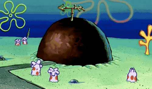 海绵宝宝你居然藏着这么多生物冷知识