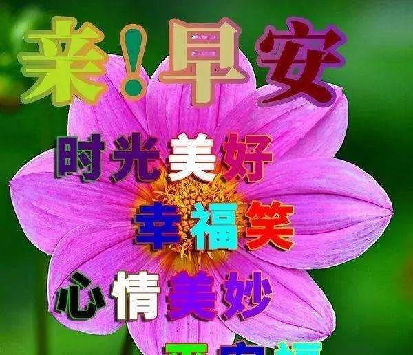 清晨最新早上好祝福問候語短信,微信早安問候朋友的鮮花祝福圖片_騰訊