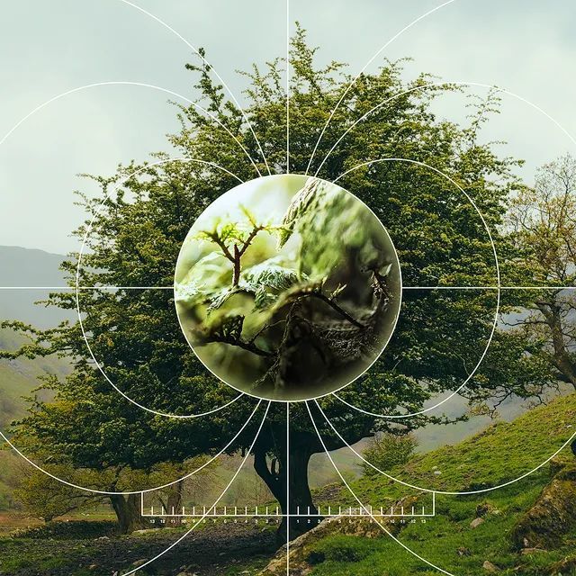 查尔斯·达尔文|随机粒子，何以缔造生命？