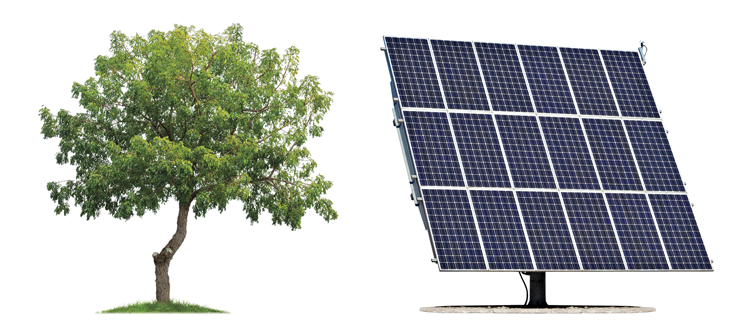 查尔斯·达尔文|随机粒子，何以缔造生命？