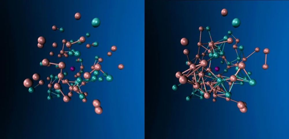 查尔斯·达尔文|随机粒子，何以缔造生命？