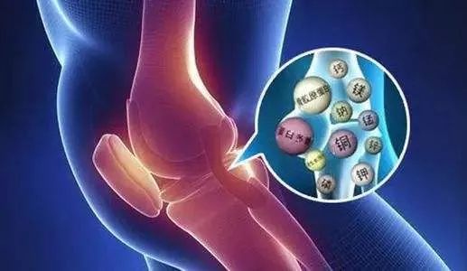 喝骨头汤能补钙?骨质疏松只要补钙就行?