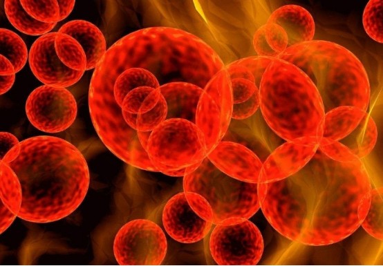 地球|氧气出现之前，地球上已有生命存在，它们靠砒霜来续命