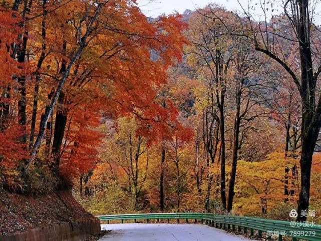 深秋的山林 唯美的景色 秋日 唯美