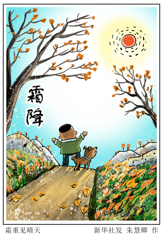 图表漫画二十四节气霜降霜重见晴天