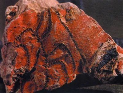 刺绣|中国古代刺绣发展简史