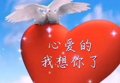 想你,在思念的静夜里,心里不再有昔日柔情蜜意的缠绵