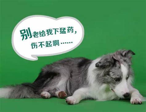 腾讯内容开放平台