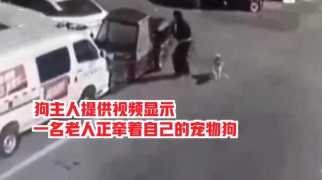 走丢的柴犬竟成为别人家的红烧肉 验芯片正是爱犬 老人 这是鸡腿肉 柴犬 狗狗