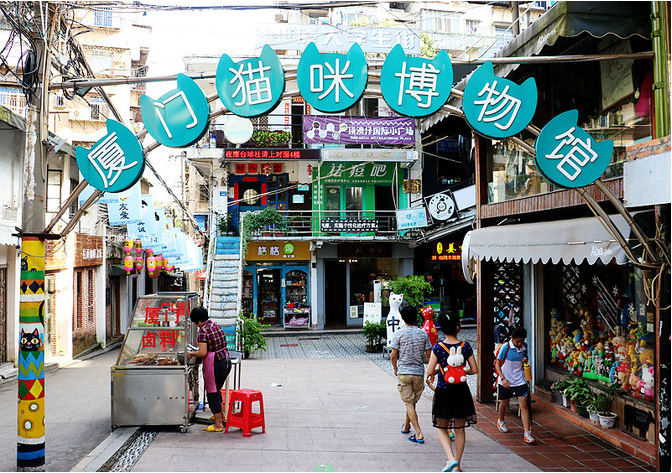 厦门猫街这里是爱猫者的天堂到处都是呆萌可爱的小猫咪