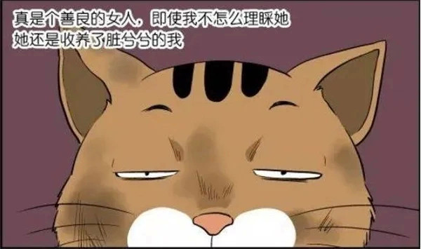 搞笑王子化身脏兮兮流浪猫在街头寻找心仪的王妃终于碰到了善良女孩