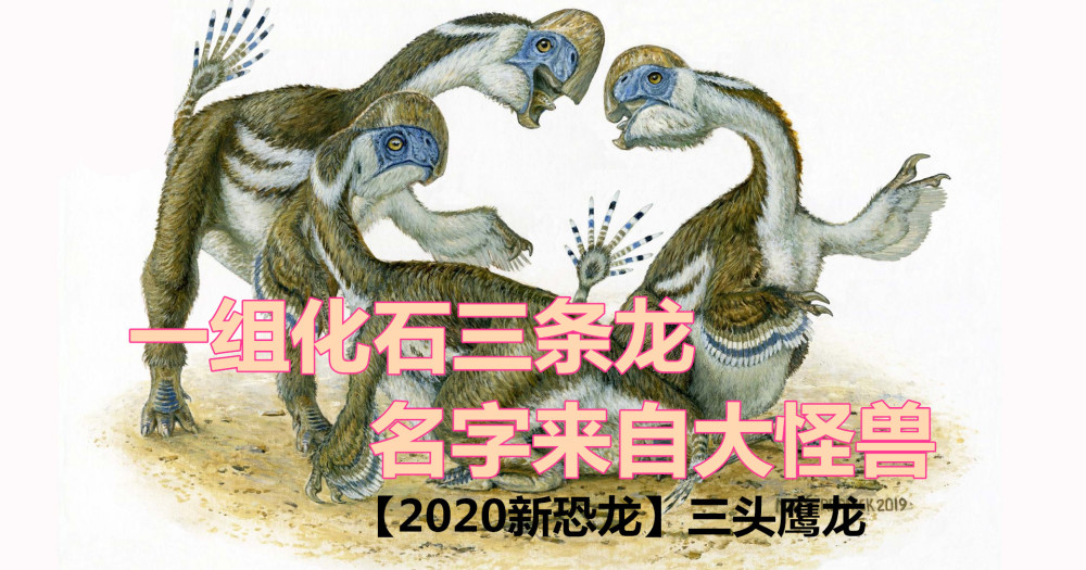 化石|以神话怪兽命名的恐龙，化石里有三个脑袋！