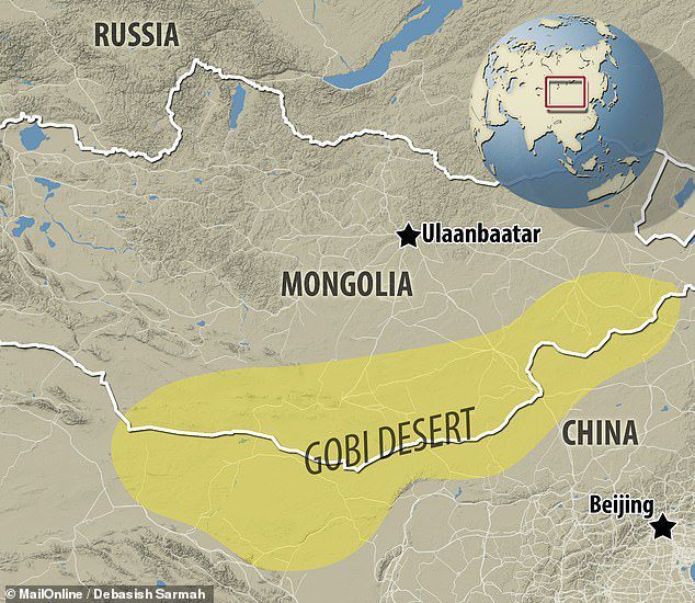 化石|以神话怪兽命名的恐龙，化石里有三个脑袋！