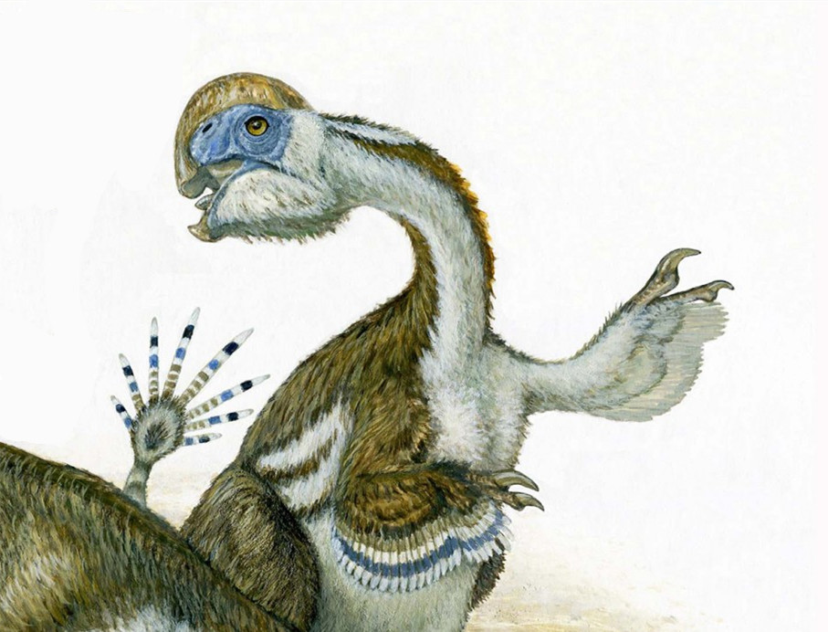 化石|以神话怪兽命名的恐龙，化石里有三个脑袋！