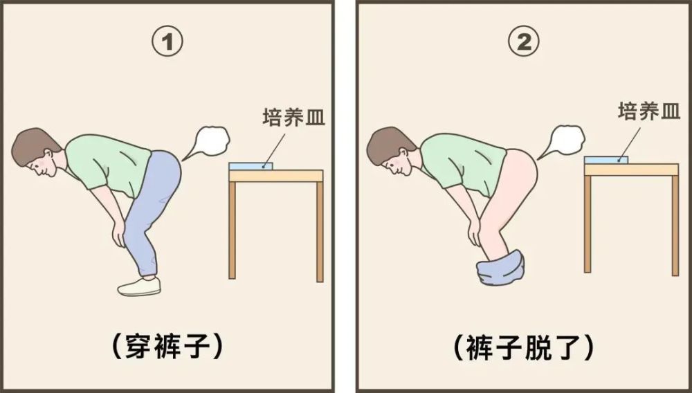 仅仅经过一夜,两个培养皿就见了分晓:不穿裤子放屁:培养皿上出现了