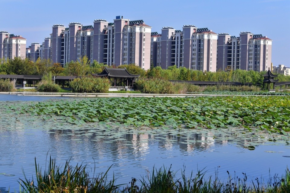 泰兴有个虹桥镇彩虹惊艳长江岸线生态特色景观带