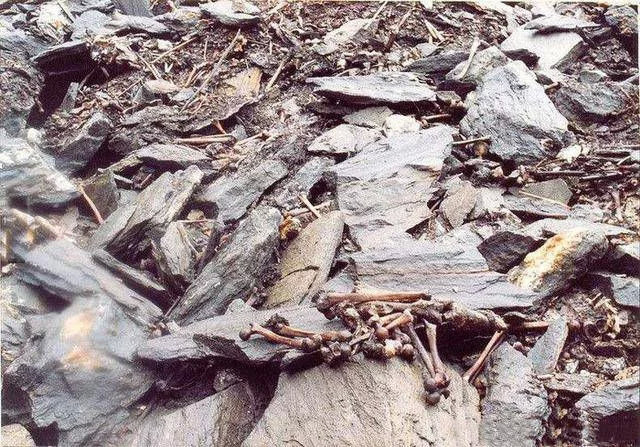 冰川湖|冰川湖融化后，露出千年前的人间惨剧，多年后专家才揭开真相