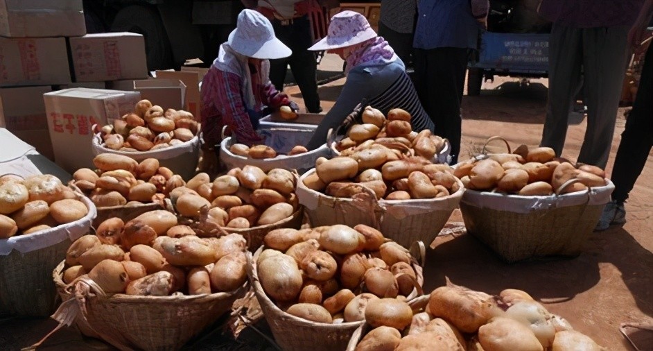 又一农产品滞销!上万斤堆积成山卖不动,农民很发愁