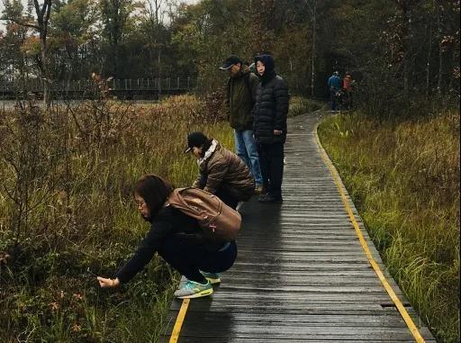 神农架林区|林草科普｜中国生物多样性保护及濒危植物调查-湖北篇