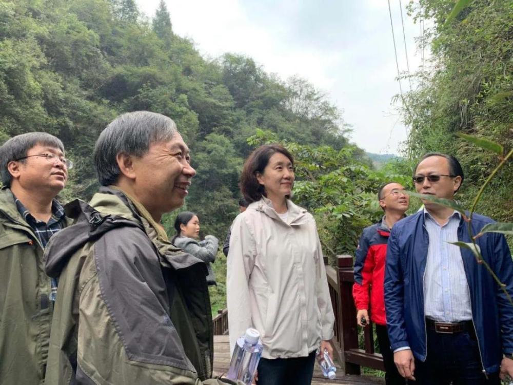 神农架林区|林草科普｜中国生物多样性保护及濒危植物调查-湖北篇