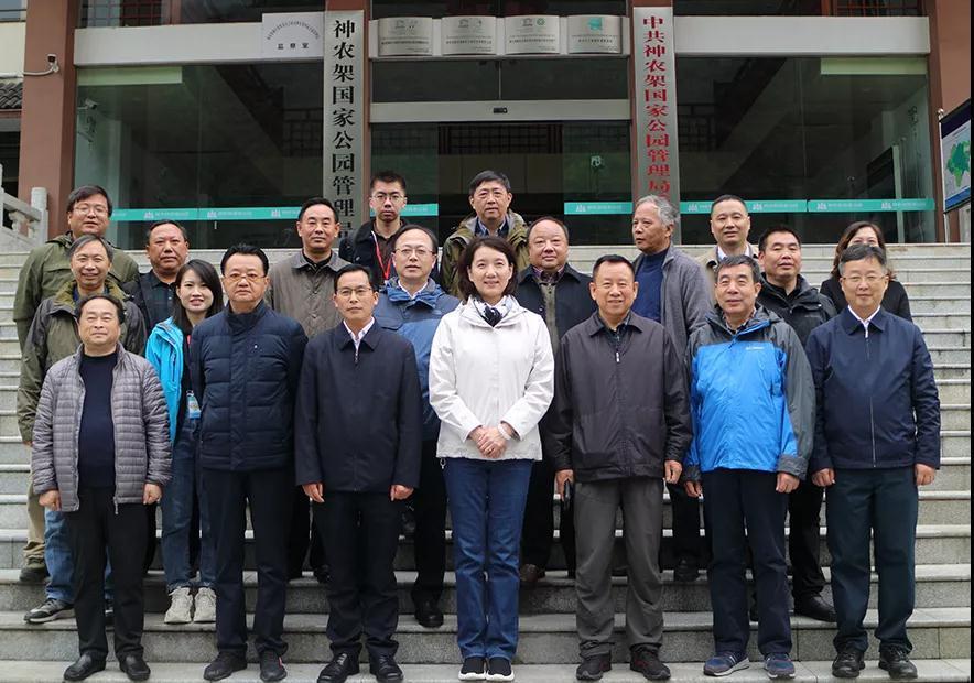 神农架林区|林草科普｜中国生物多样性保护及濒危植物调查-湖北篇