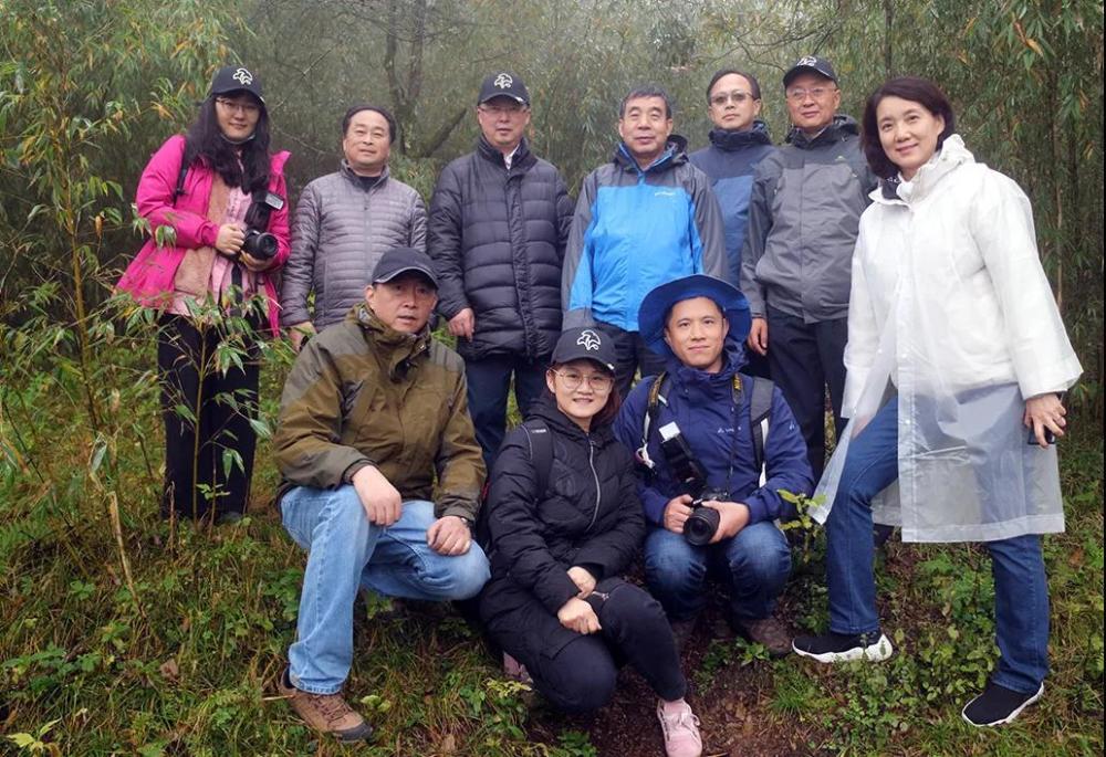 神农架林区|林草科普｜中国生物多样性保护及濒危植物调查-湖北篇