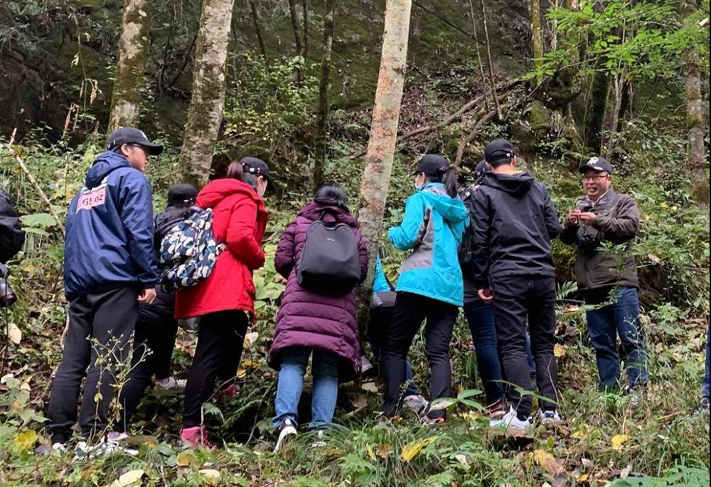 神农架林区|林草科普｜中国生物多样性保护及濒危植物调查-湖北篇
