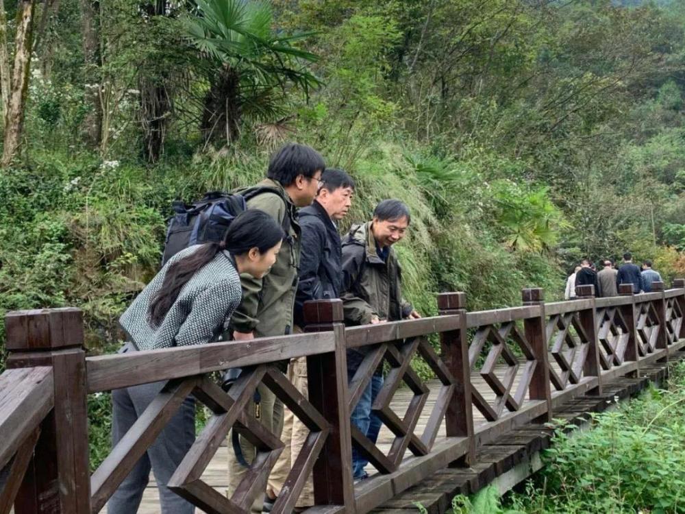 神农架林区|林草科普｜中国生物多样性保护及濒危植物调查-湖北篇