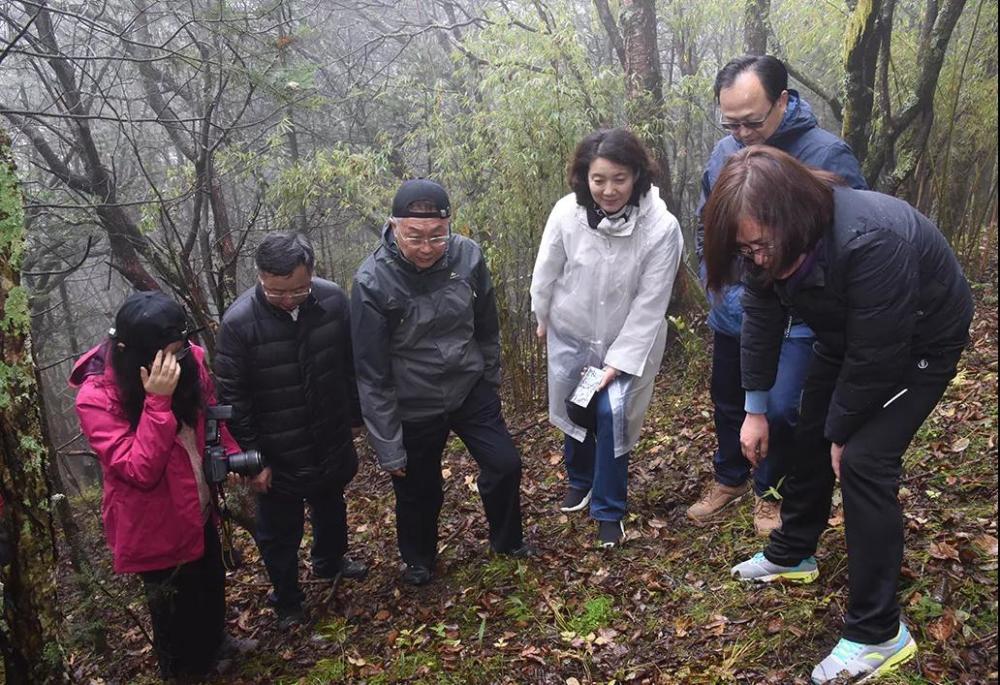 神农架林区|林草科普｜中国生物多样性保护及濒危植物调查-湖北篇