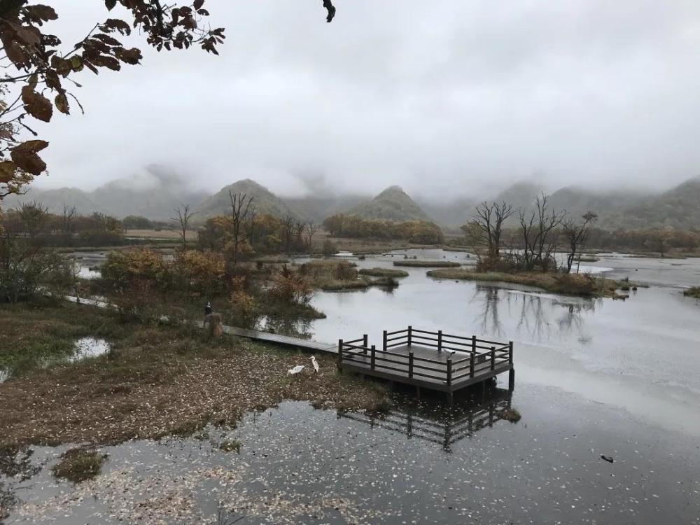 神农架林区|林草科普｜中国生物多样性保护及濒危植物调查-湖北篇