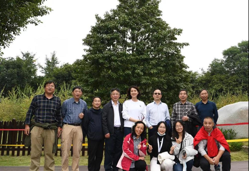 神农架林区|林草科普｜中国生物多样性保护及濒危植物调查-湖北篇