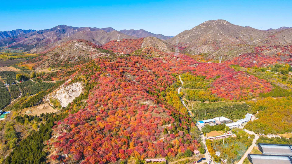 浅山|青山一脉五彩绸！人少景美还免费！快来“红透”的顺义舞彩浅山