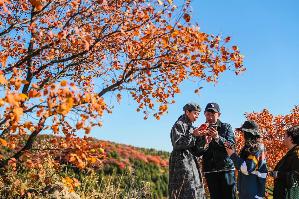 浅山|青山一脉五彩绸！人少景美还免费！快来“红透”的顺义舞彩浅山