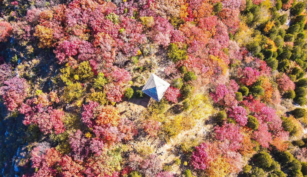 浅山|青山一脉五彩绸！人少景美还免费！快来“红透”的顺义舞彩浅山