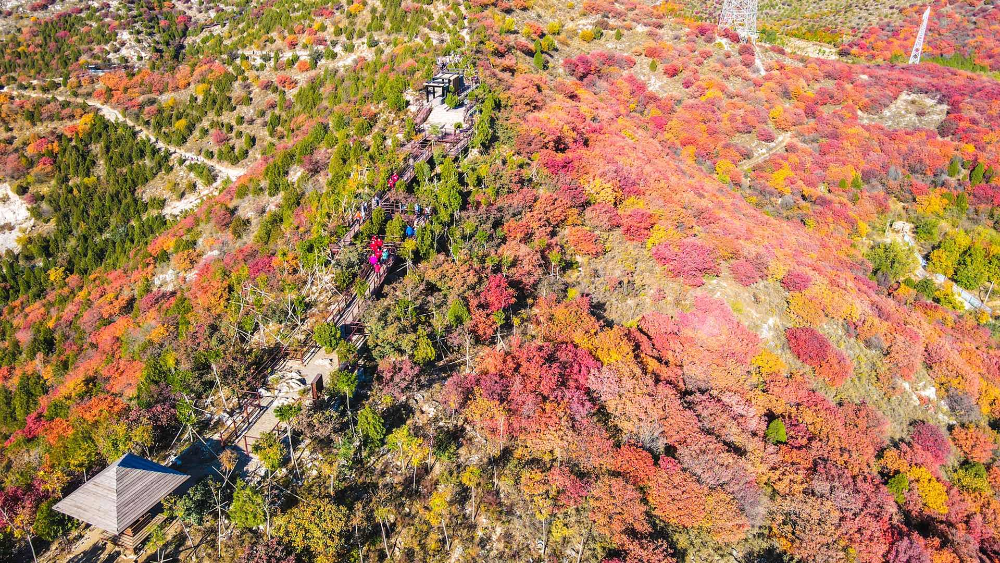 浅山|青山一脉五彩绸！人少景美还免费！快来“红透”的顺义舞彩浅山